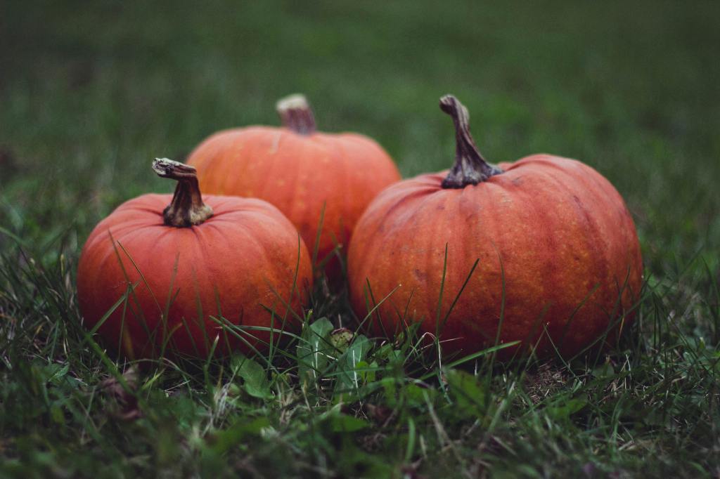 Magical Symbolism of the Pumpkin Through History and Fairy Tales